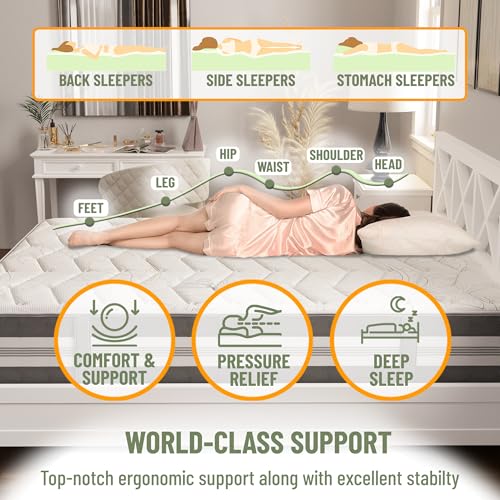 13 Inch Queen Size Eurotop Hybrid Mattress in a Box, Medium Firm Bed with Premium Quilted Cover, Made in USA, Fiberglass-Free