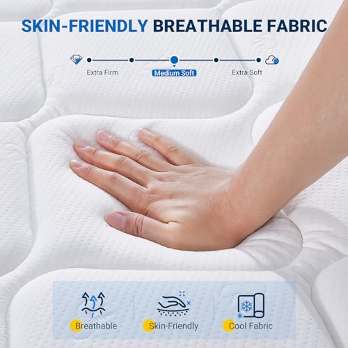 Queen Mattress, 12 Inch Hybrid Bed in a Box with Comfort Foam & Pocket Coils, Pressure Relief & Motion Isolation