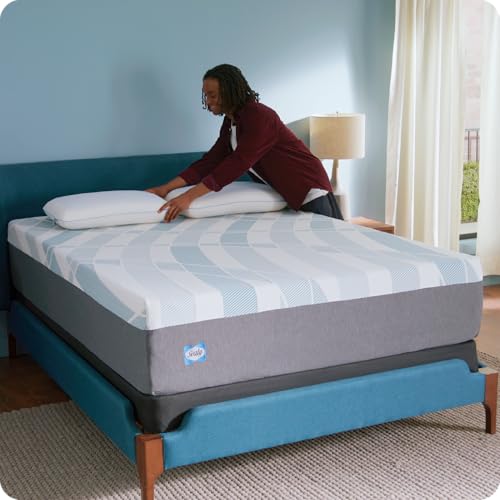 10 Inch Queen Memory Foam Mattress | Gel Foam with Surface-Guard Technology | Made in USA, 10 Year Warranty