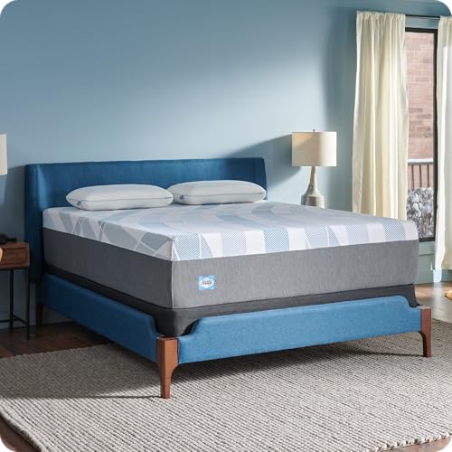 10 Inch Queen Memory Foam Mattress | Gel Foam with Surface-Guard Technology | Made in USA, 10 Year Warranty
