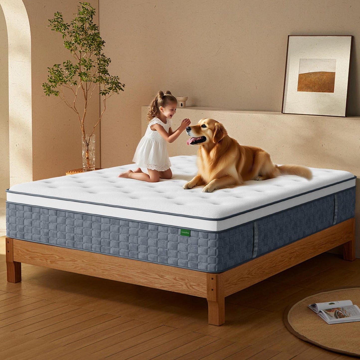 12 Inch Queen Size Hybrid Memory Foam Mattress in a Box, Pocket Springs for Motion Isolation & Silent Sleep, Medium Firm Bed with Pressure Relief