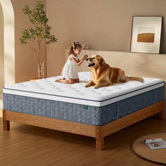 12 Inch Queen Size Hybrid Memory Foam Mattress in a Box, Pocket Springs for Motion Isolation & Silent Sleep, Medium Firm Bed with Pressure Relief