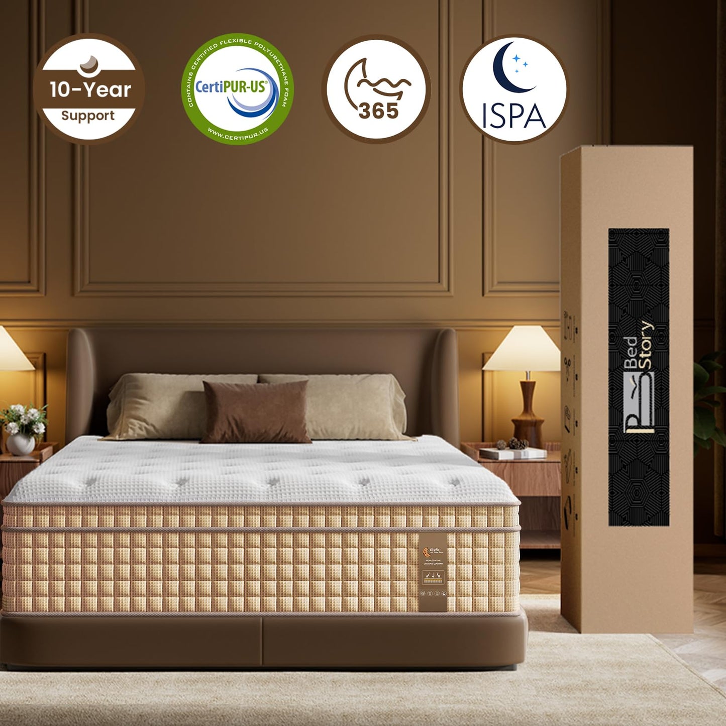 14 Inch Queen Hybrid Mattress | Medium Firm with Extra Lumbar & Shoulder Support | Pain Relief, Fiberglass Free | 365-Night Trial