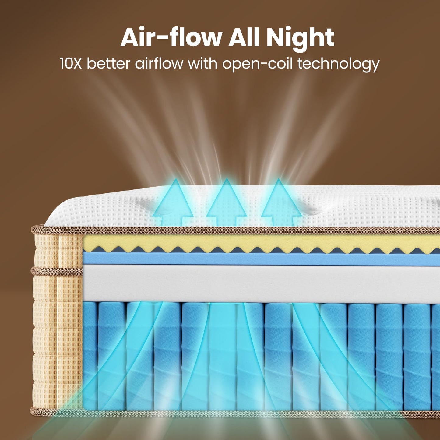 14 Inch Queen Hybrid Mattress | Medium Firm with Extra Lumbar & Shoulder Support | Pain Relief, Fiberglass Free | 365-Night Trial