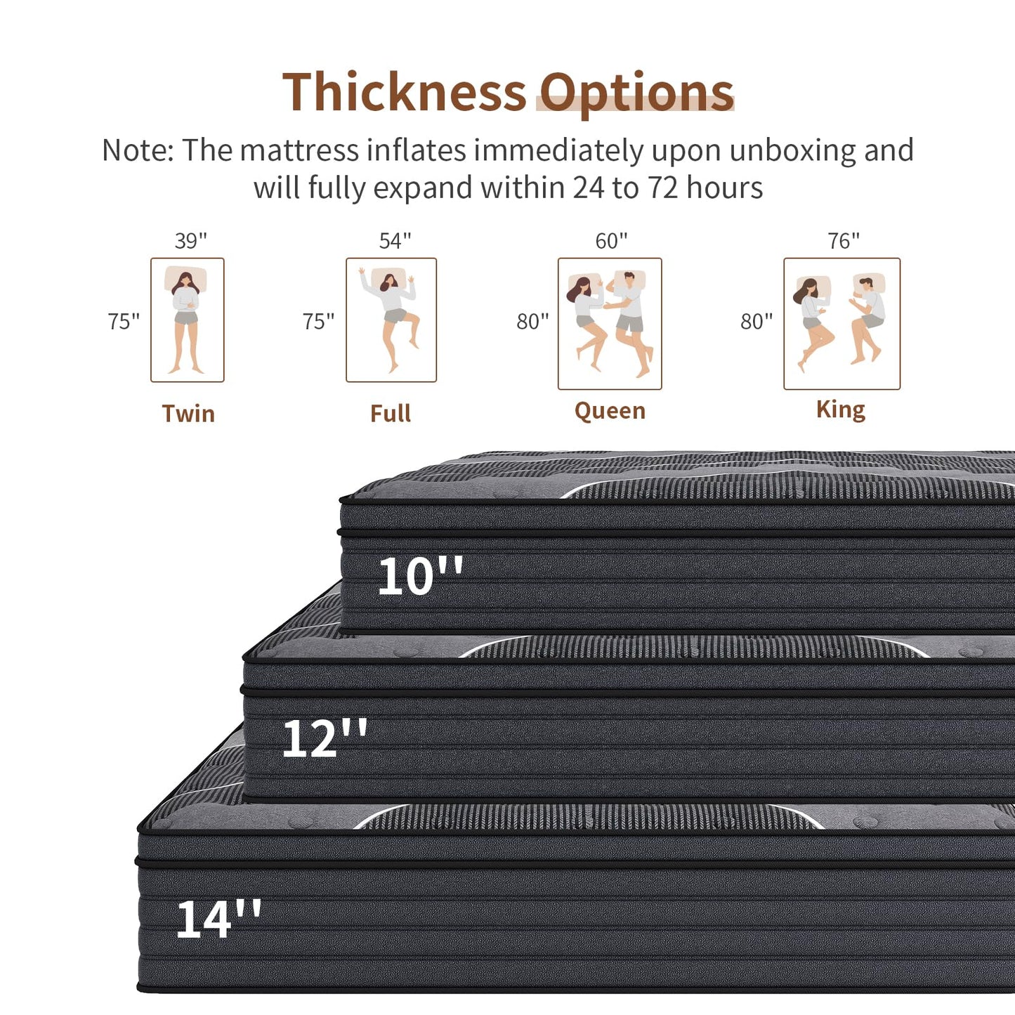 12 Inch Twin Hybrid Mattress | 5-Zone Firm with Lumbar & Shoulder Support | Pain Relief, Fiberglass Free | 365 Night Trial
