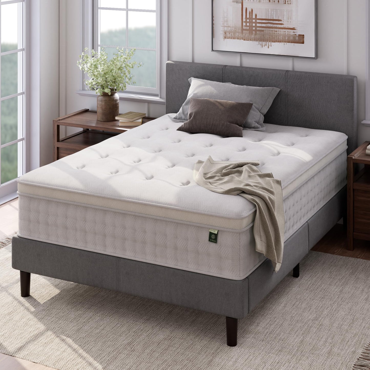 Queen Mattress, 13 Inch Euro Top Hybrid Bed in a Box with Pocket Springs, Pressure Relief & Motion Isolation